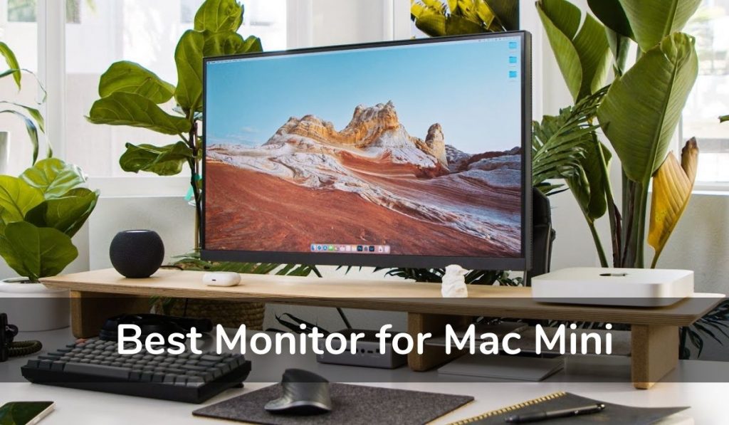 best monitor for 2012 mac pro